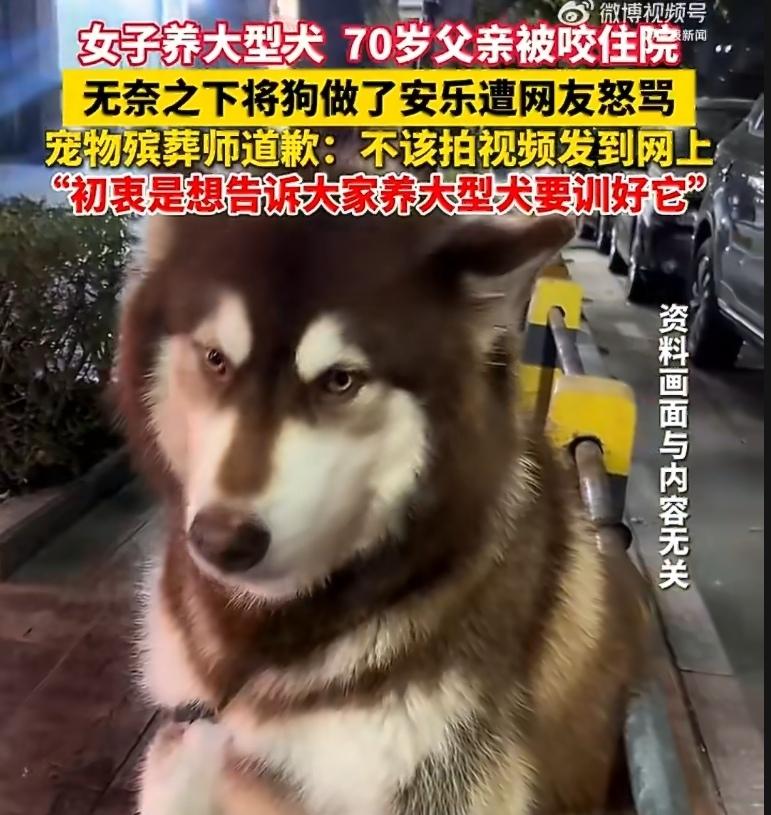 一只100多斤的阿拉斯加犬，8个月咬3次人，直到把70岁的老父亲咬进手术室——这