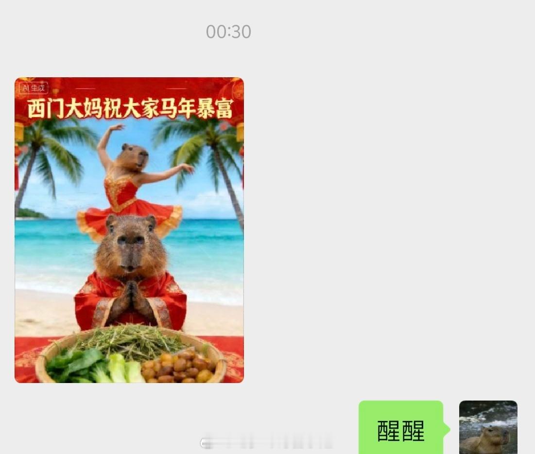 马年第一个美梦，说想从杨玉环版本的大妈变成图一的大妈，你们觉得可能吗？