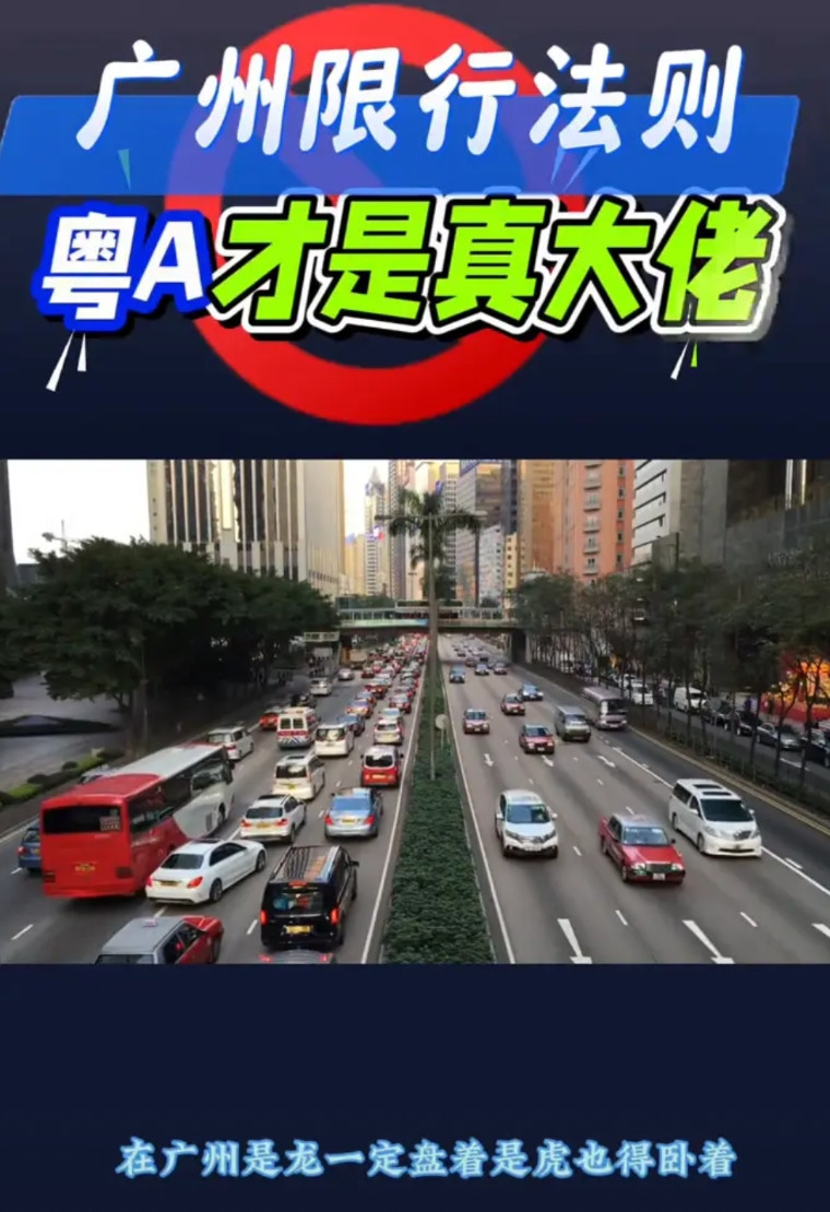 广州限行法则，粤A才是真大佬。在广州是龙一定盘着是虎也得卧着，除非你是粤B，否