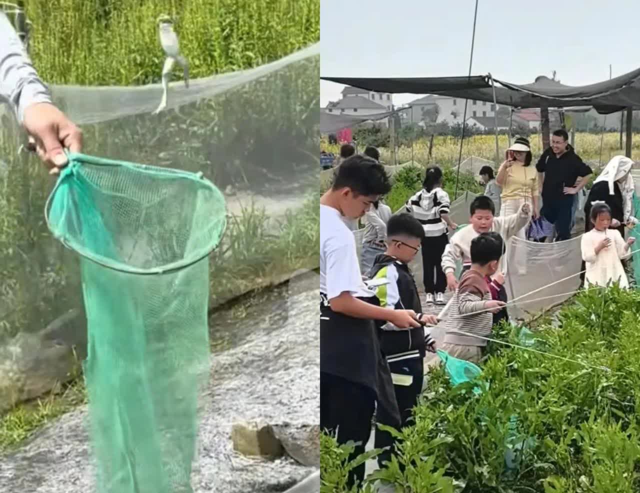 这简直是捡钱啊！​4月28日，浙江衢州，一名80后男子一天光看着就有近600