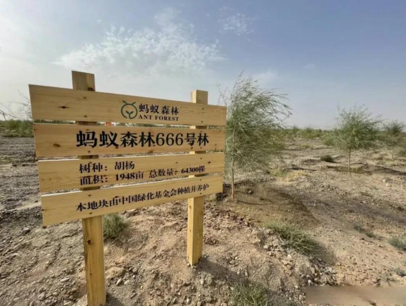 这次真破例了！《福布斯》一改封面只放各界名人的老套路，镜头突然对准普通中国人——