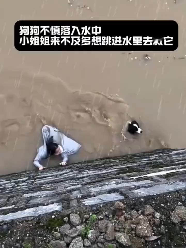 狗狗不慎落入水中，小姐姐来不及多想跳进水里去救它。一把抓住，紧紧的抓住它防止被