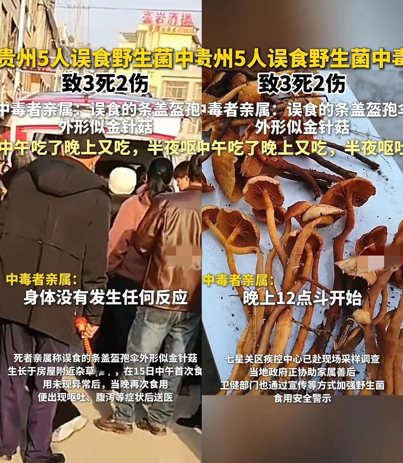 心痛到无法呼吸！贵州吃蘑菇3死2伤，给所有准备吃蘑菇人上了一课：千万不要吃