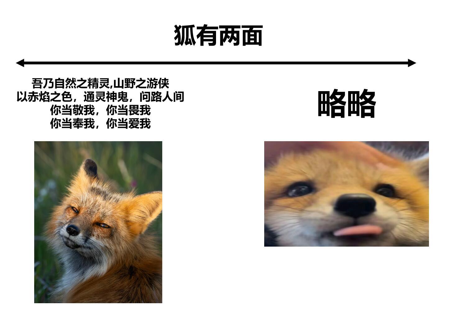 🦊狐狸meme🦊今日份治愈，由小狐狸承包✨meme