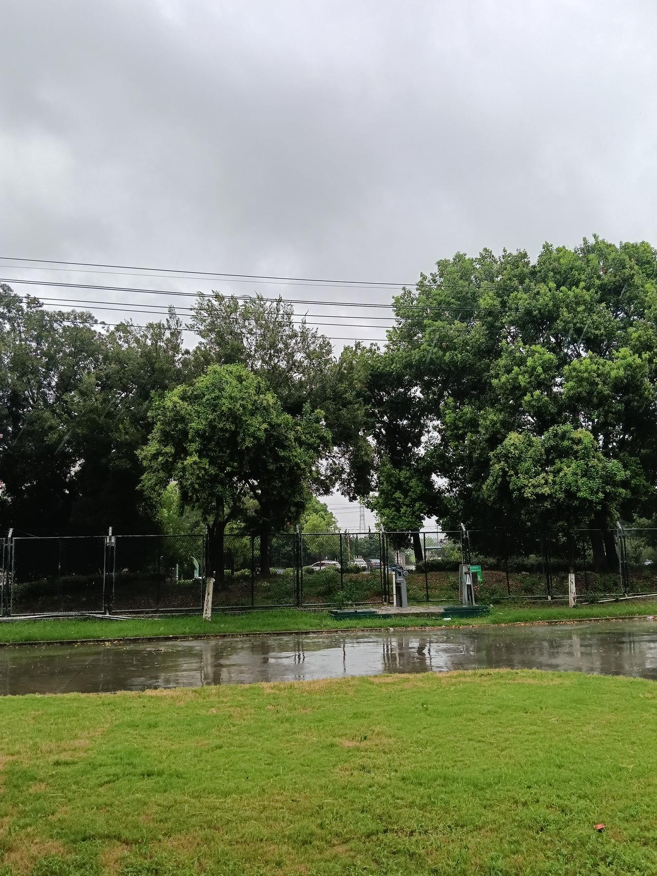 雨后漫步，邂逅夏日温柔一场细雨过后，空气都变得格外清新。湿漉漉的路面倒映着