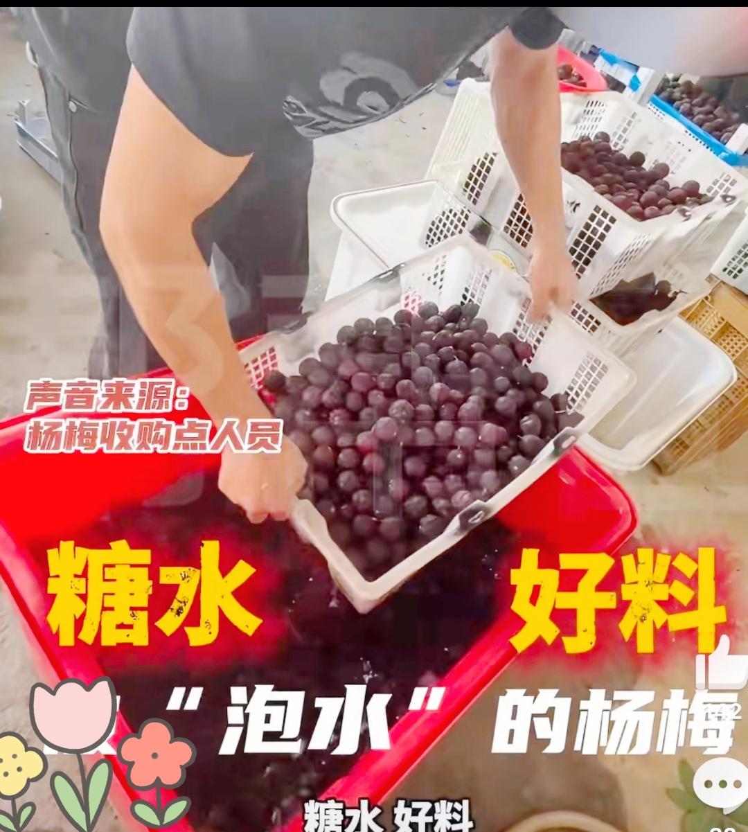 看到漳州杨梅大面积烂在地里，我居然同情不起来。700年的老祖宗基业，年产值1