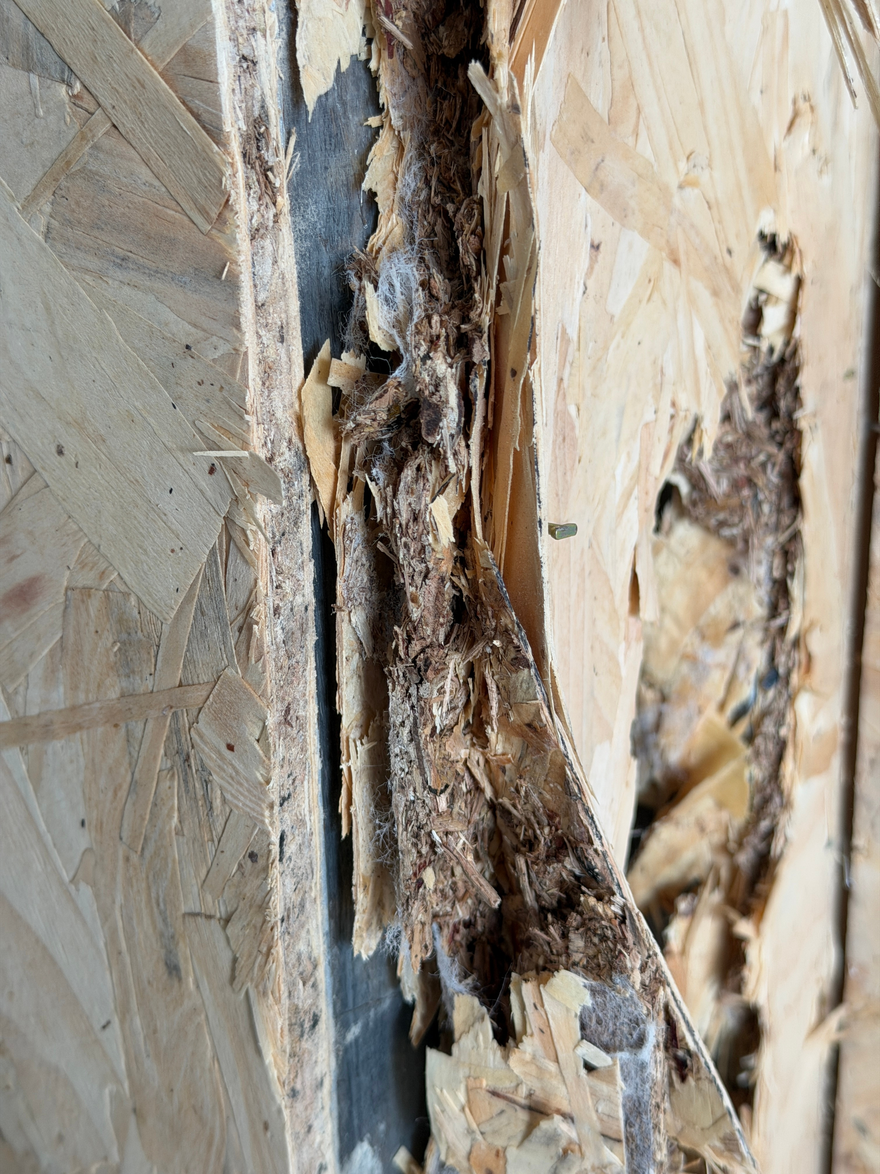 龙二的装修日记我的装修可能要被迫停工+返工了！有些黑心的人，把我的基层克洛斯邦