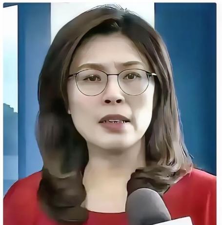 国民党主席郑丽文发布声明 大家可以简单算一笔账，全台湾一半的电力都要靠天然气