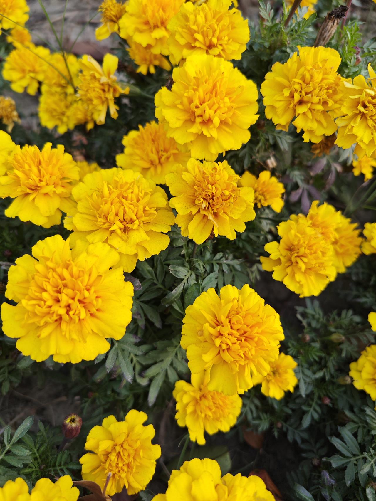 养生养到最后，养的就是个舒坦别再瞎折腾养生了！真正适合中老年人的养生，从来