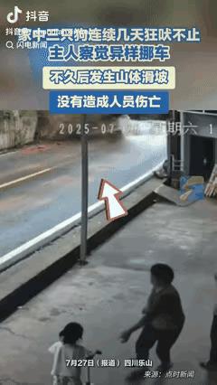 “解释不清了！”四川乐山，近日，女子发觉家中的三只狗一直对着自家的那辆车狂吠，女