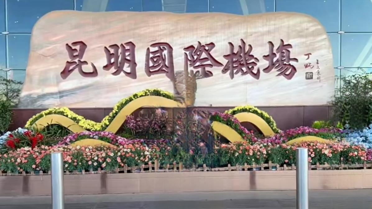 🔥惊艳！长水机场中转新福利，文创餐包免费领，满满云南味昆明长水机场重磅