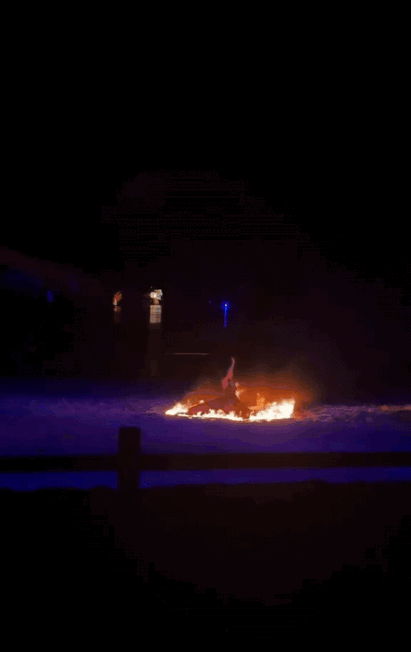 4月2日，有网友爆料，江苏南通森林野生动物园内，一场火舞表演发生意外。视频中