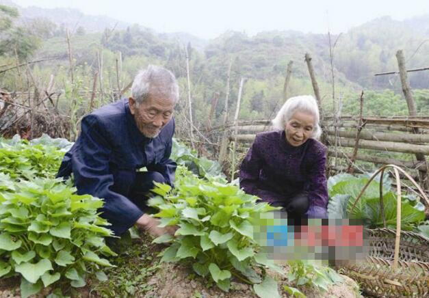 没有交职工社保，晚年靠居民养老也能安稳度日一辈子在家种地、打零工，没进过单