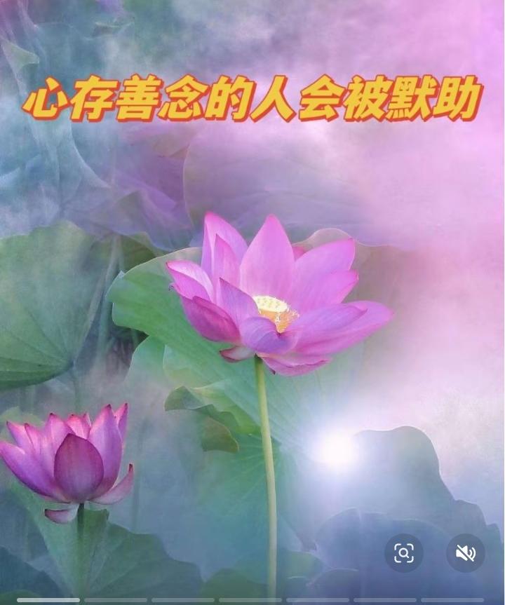 善良的人老天会帮你吗?善良的人，老天真的会帮你吗？答案太扎心，却也最现实善