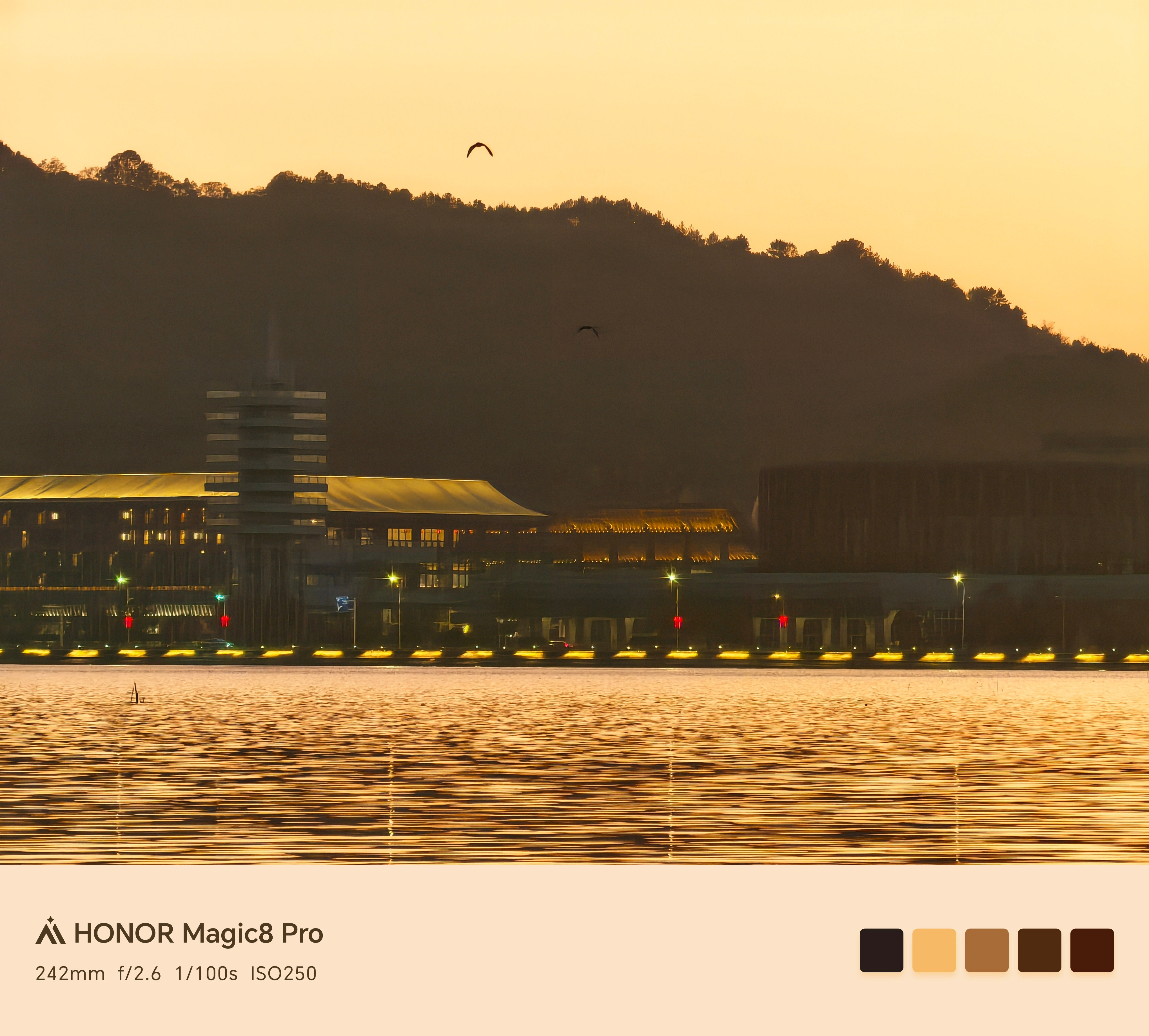 看自己拍的图感觉自己简直就是个大摄影师谢谢荣耀magic8pro拍的太好了我