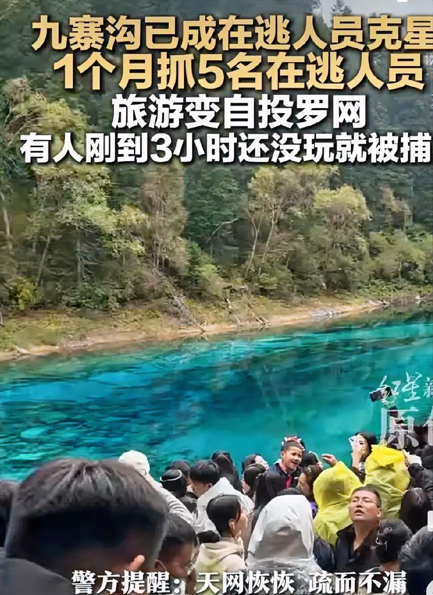 九寨沟太火了,逃犯都忍不住诱惑!真是邪了门了,九寨沟从十月一日开始,已经成为了