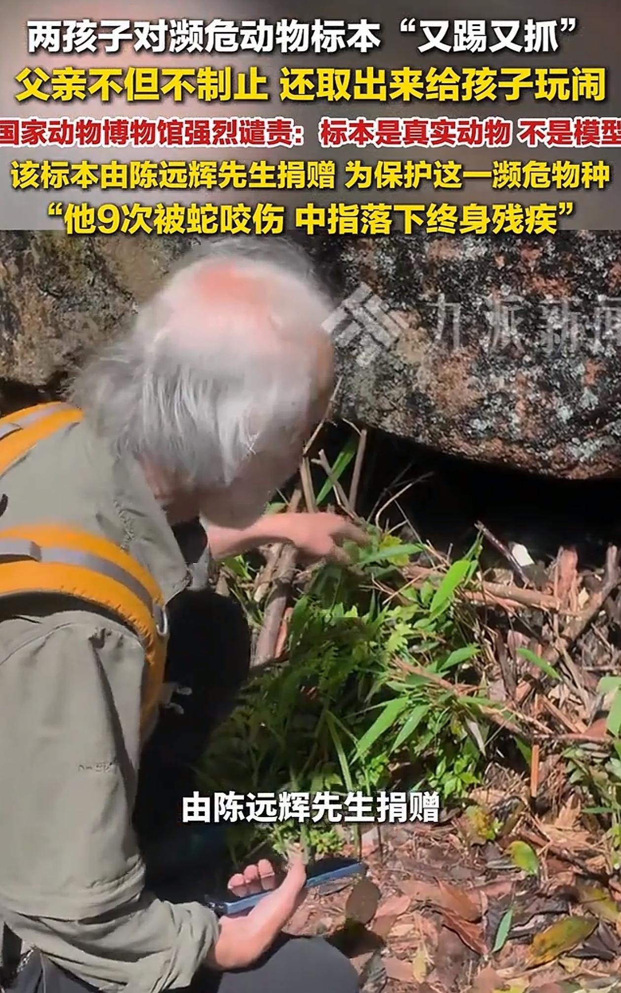 必须严惩！北京，两个小孩在逛中国动物博物馆里，竟然拿拖鞋拍里面展示的珍贵动物标本