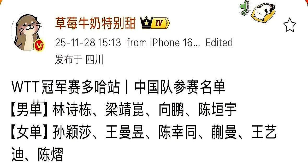 多哈冠军赛，王楚钦决定放弃了。大头刚把豁免权用了去歇着，王皓就把林诗栋、