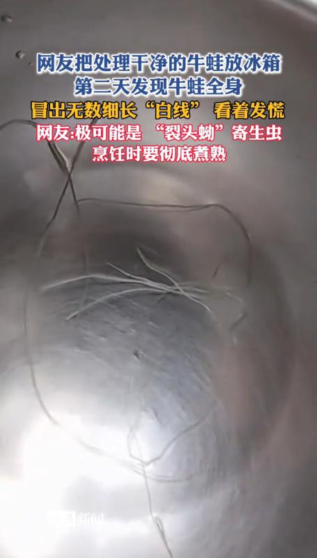 6月16号报道，网友发的一段视频，直接把人送走！她在市场上买了只牛蛙，回家以后仔