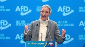 德国反对党领袖改编特朗普MAGA口号右翼德国另类选择党(AfD)联合领