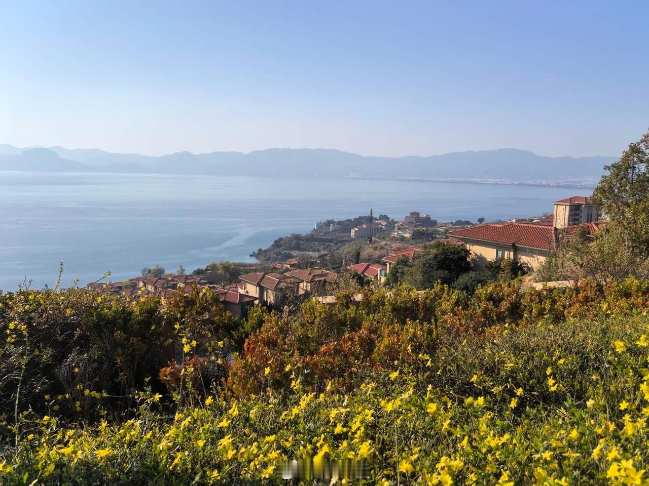 目前我用的四个AI应用，包括豆包、千问、元宝和Deepseek。从我实际的体验来