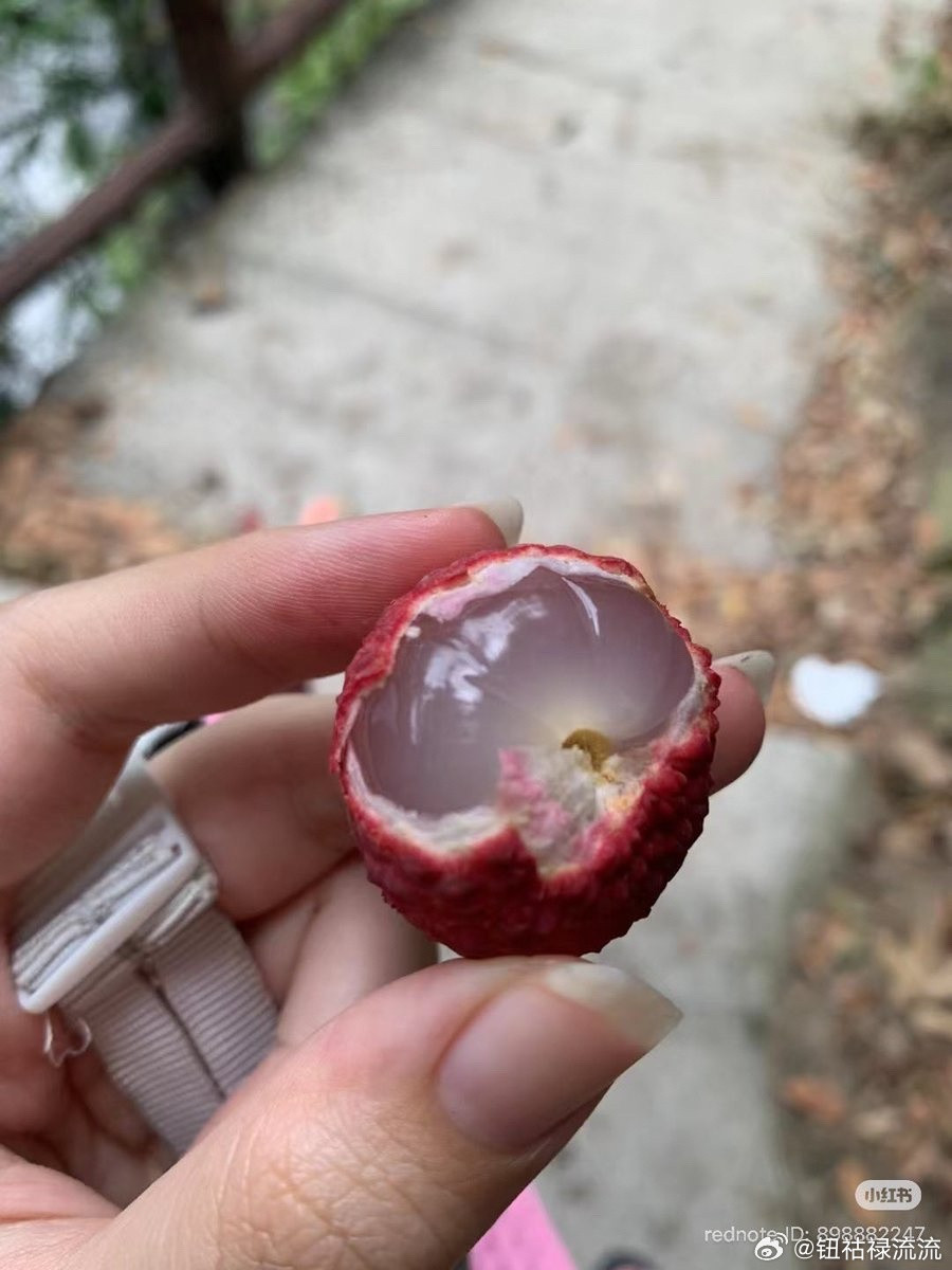 推热转：知道奶白色荔枝是死荔枝后超级震惊的韩国人