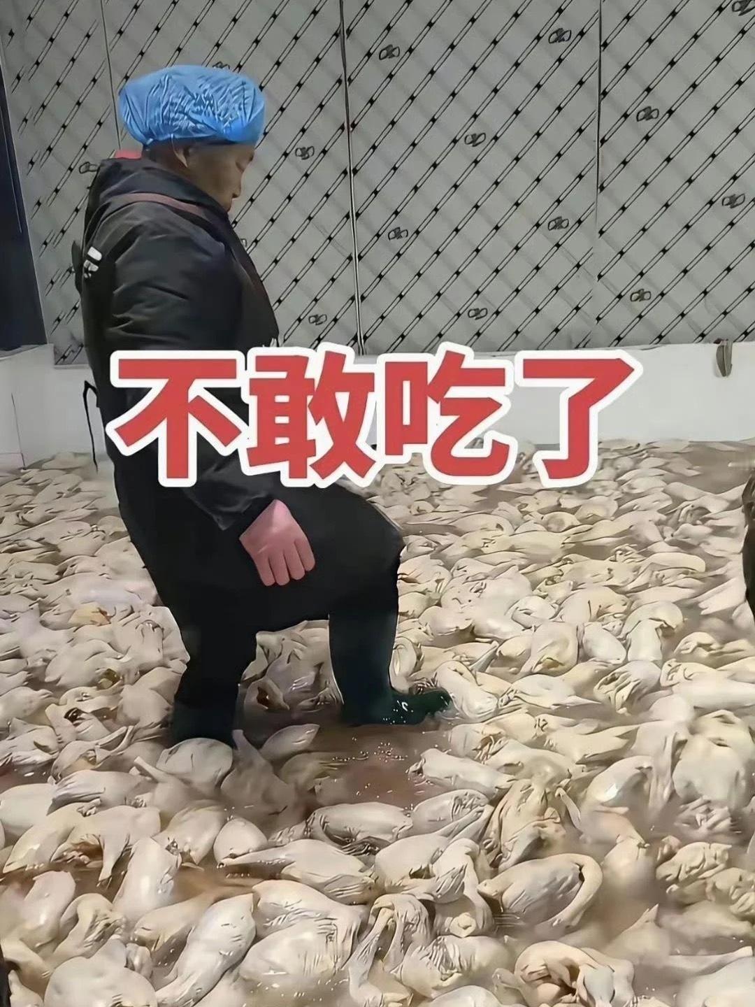 惊呆了，给孩子看看还敢吃吗？