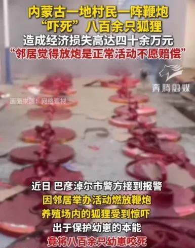 内蒙古巴彦淖尔，村民家有活动，他很高兴，买了一堆的鞭炮，持续不断地放了一阵鞭炮，