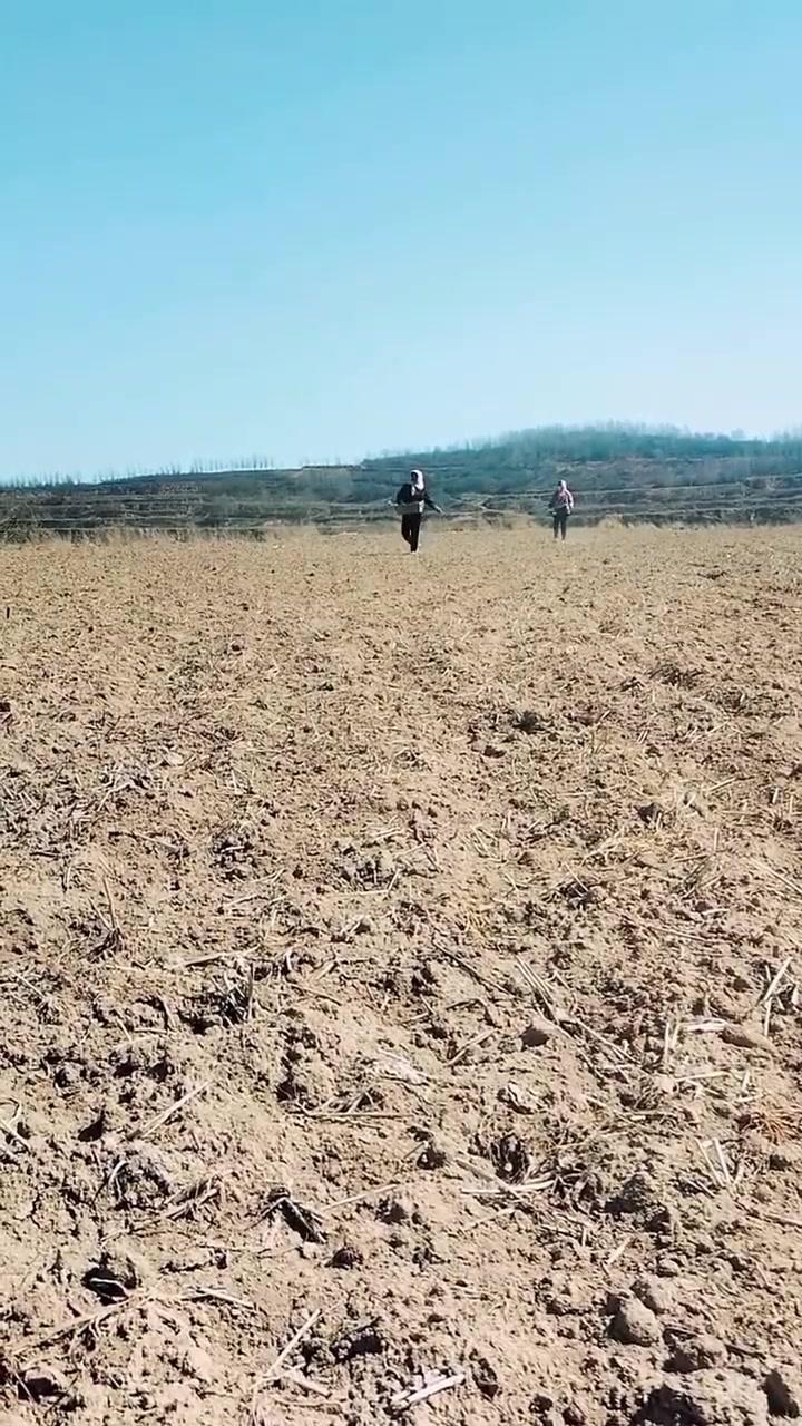 土地解冻翻耕忙，乡亲们开犁播种，泥土混着麦种的气息扑面而来。弯腰插秧、手扶犁具，
