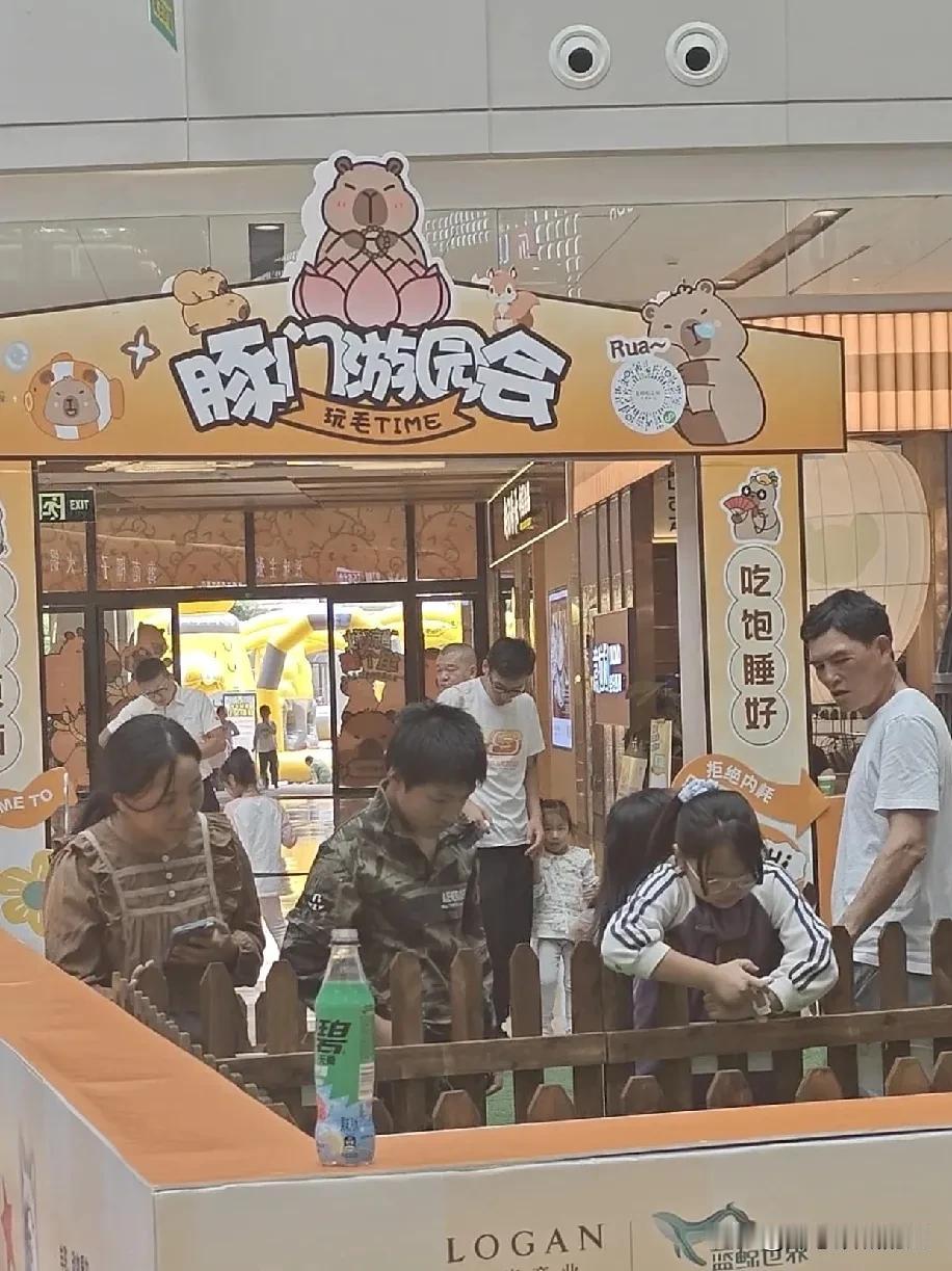 有些孩子就是读书的料。有些孩子再怎么补习都不行。小区邻居一个阿姨今天聊天时,就