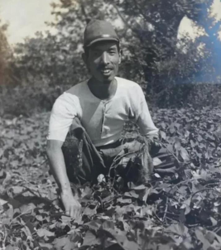 1945年，一个日本男人免费给中国人看病，一口气坚持了三十多年，没想到，背后竟然