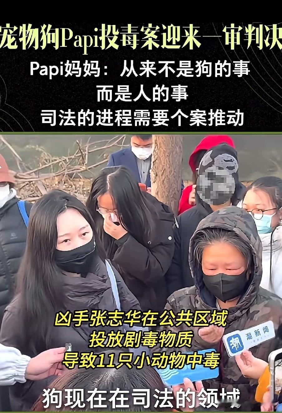 先把文明养狗的事做好，再来提狗权。Papi妈妈有经济支撑，可以辞职自学法律，