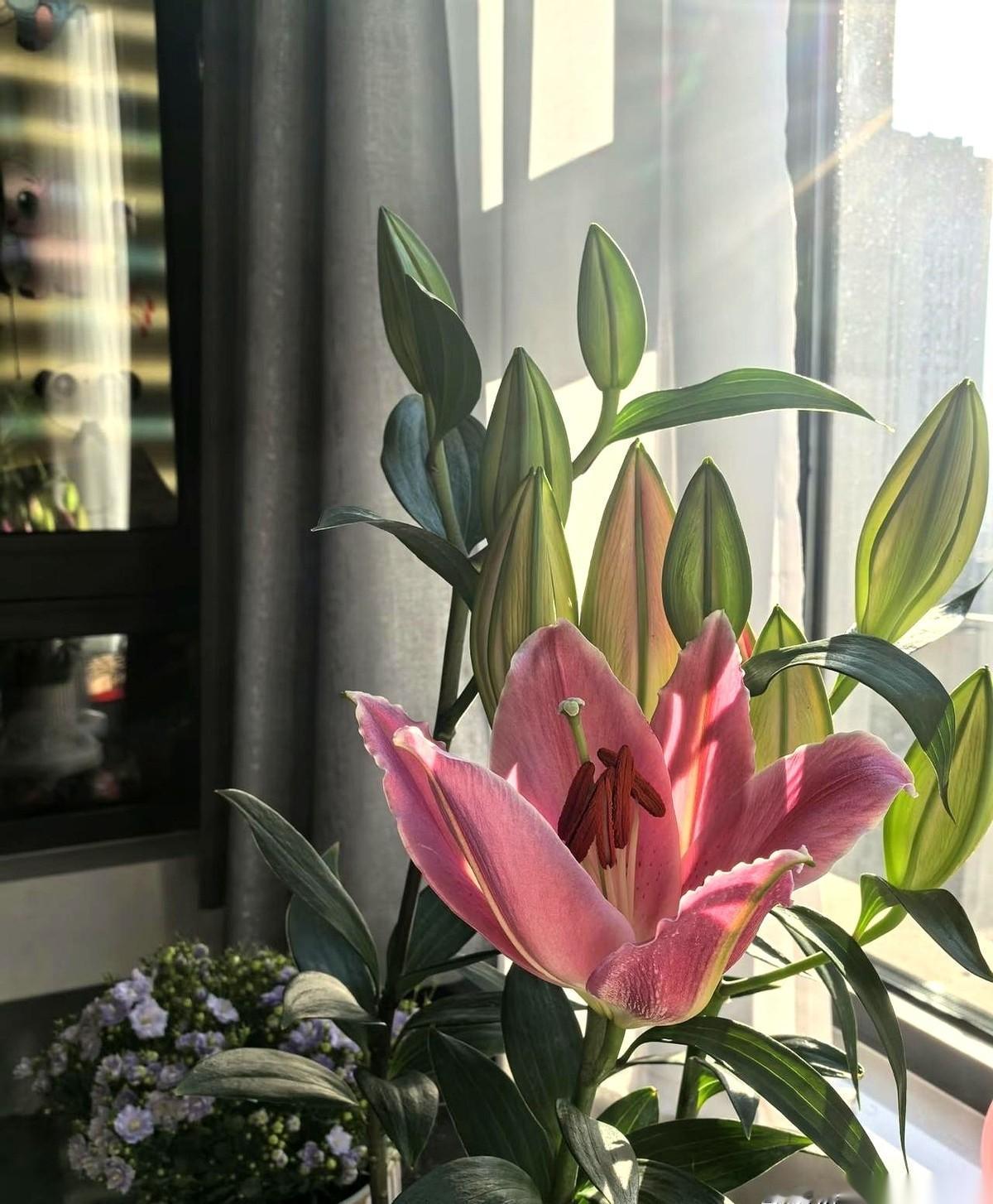 手机屏幕一亮，银行APP那条红色的提醒刺得我眼睛生疼。“逾期12天”。前夫的