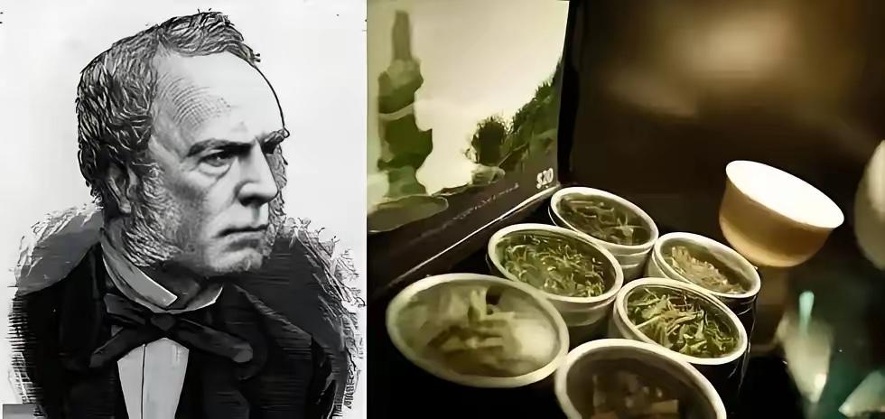 核心技术保密到底有多重要？看看19世纪的茶叶就知道了！英国人福钧深入大山，记录下