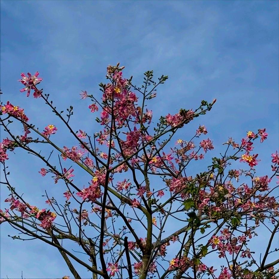 法学博士马怀德履新人民大学 今天，人民大学传来好消息：马怀德博士履新该校。