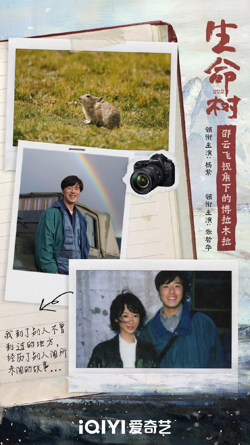 我有预感，杨紫可能会谈恋爱，但可能不会结婚了。原因很简单，年纪越大事业越好，合