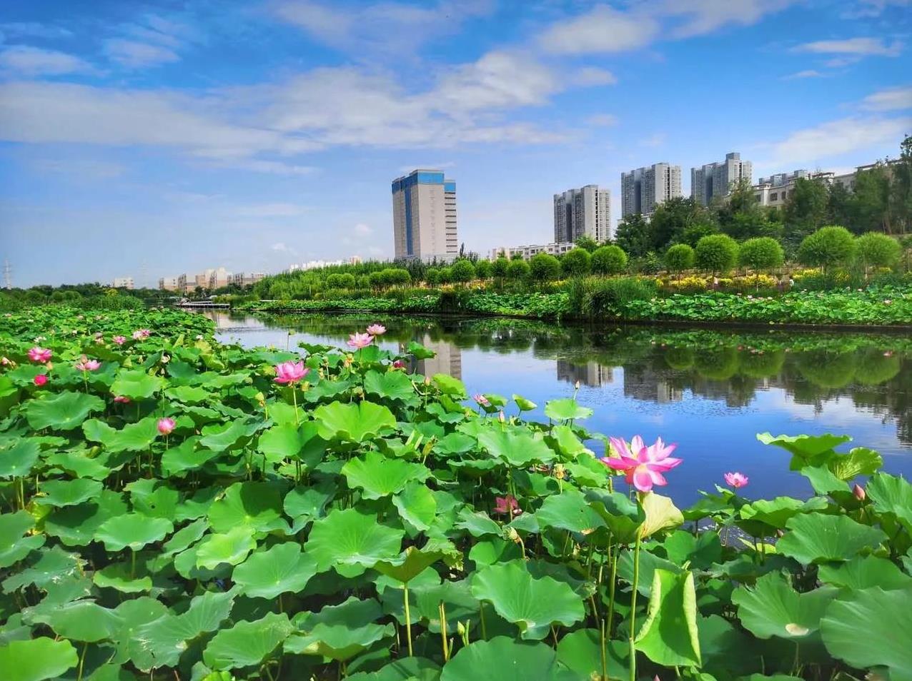 #上联：河上荷花何不语；求下联#上联：河上荷花何不语，下联：路边芦荻鲁应知