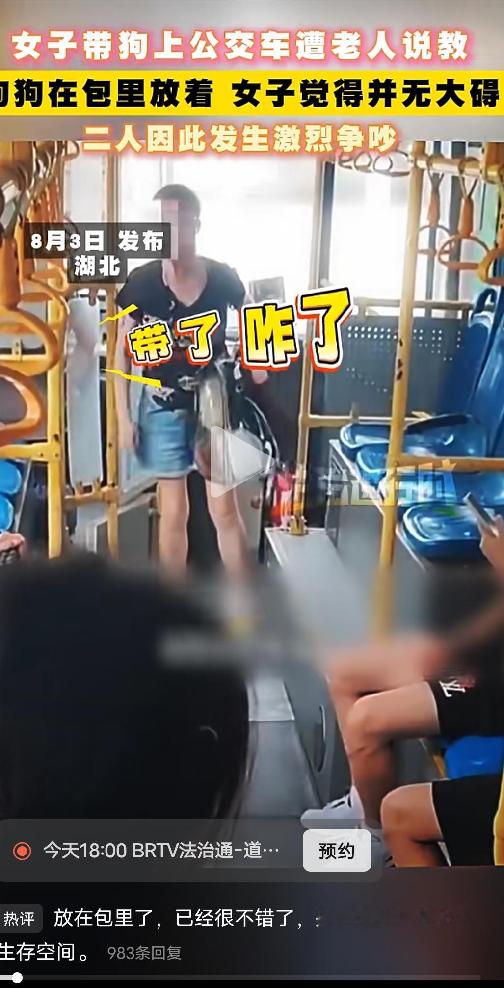 女子带狗上公交遭老人说教！到底谁对谁错？湖北襄阳一名女子把小狗装进背包带上公交