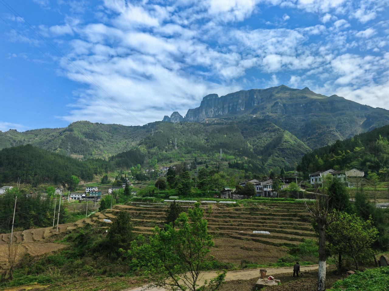 今年夏天，重庆会不会热到破纪录？据说，今年会发生140年以来最强的厄尔尼诺事件，