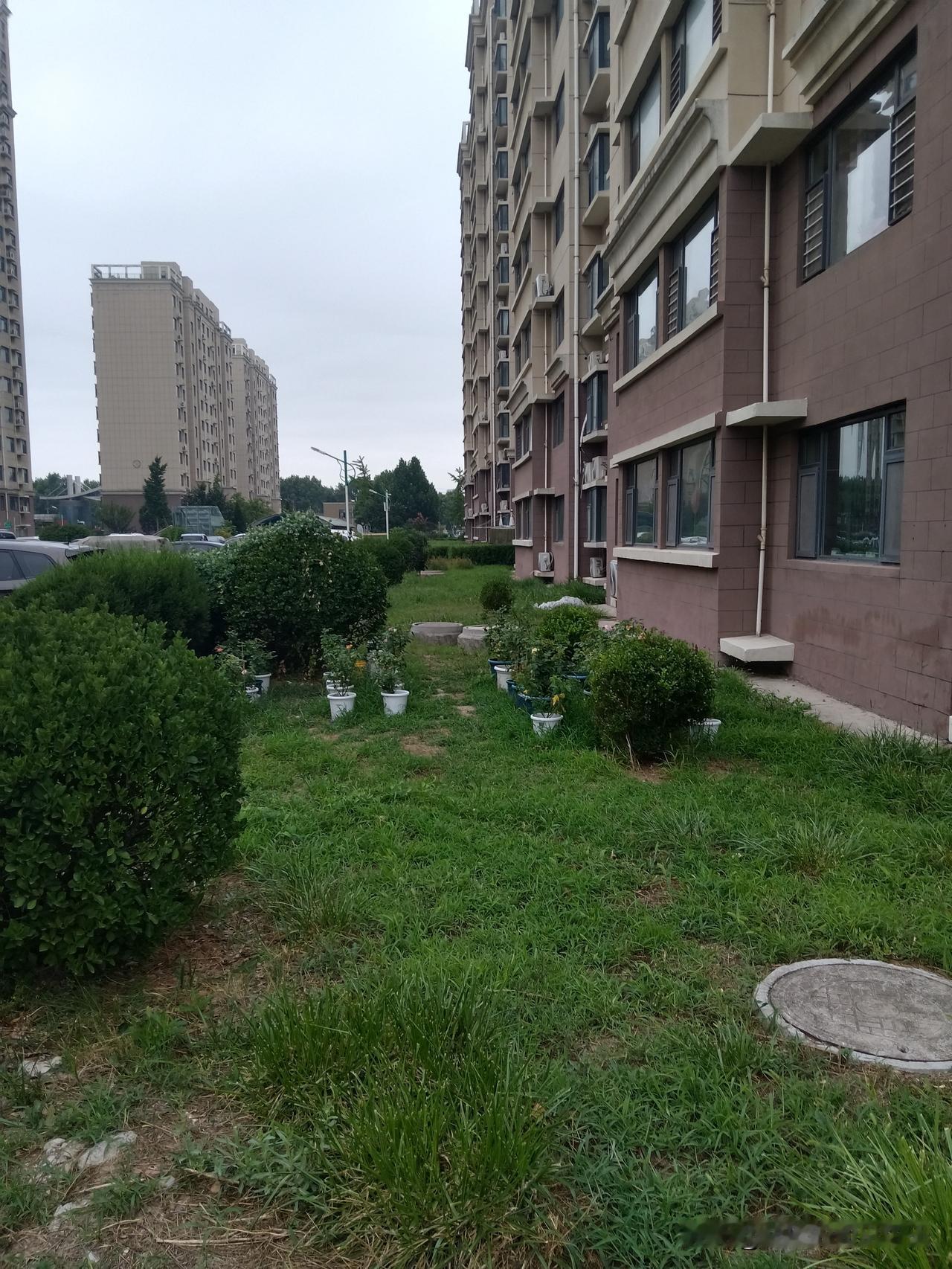 一针见血的10句话一、叽叽喳喳的，都是穷人;二、欺软怕硬的，都是小人;三、