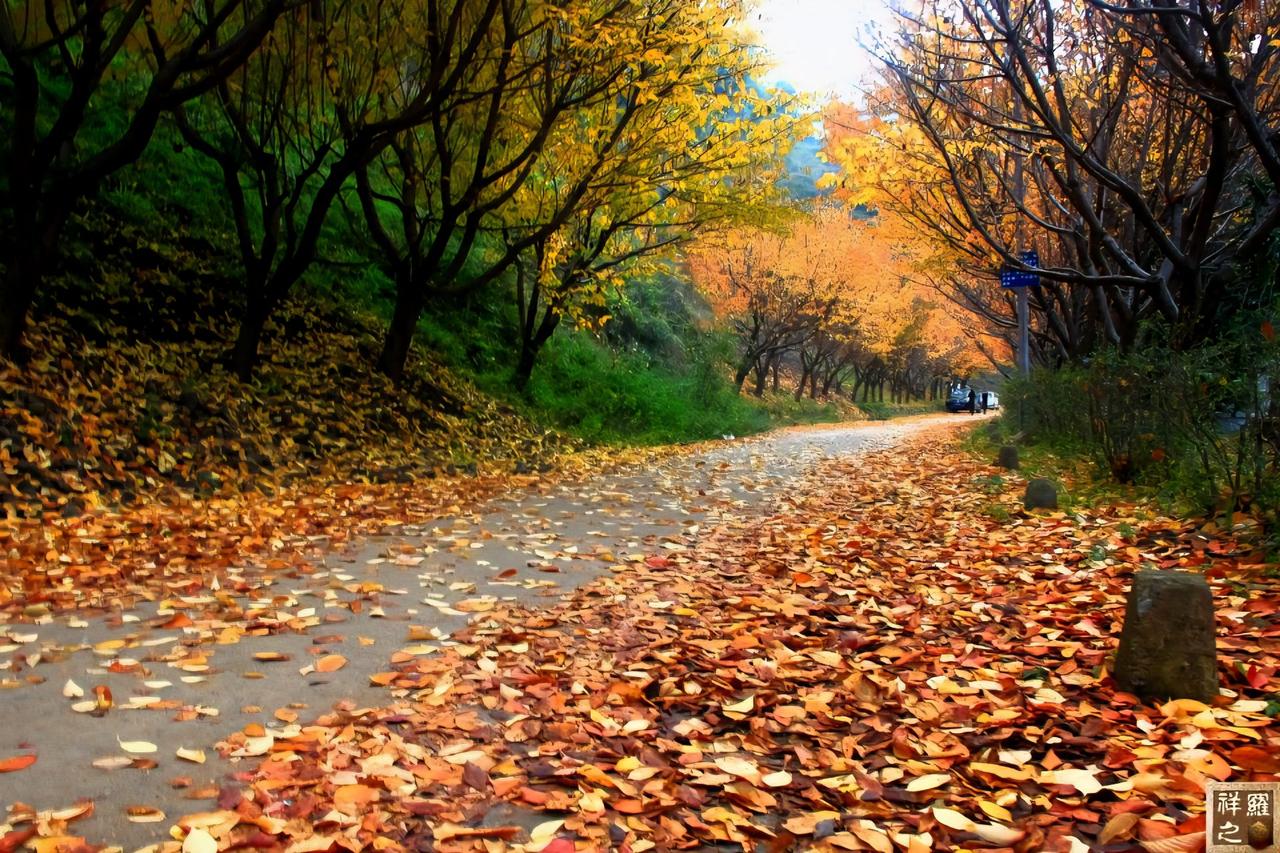 摄影分享。你还记得这样的美吗？他可能是呈现在你所想象过的秋天。！