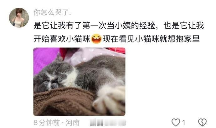 饲养小猫其实是一次最小剂量的“为人父母体验”