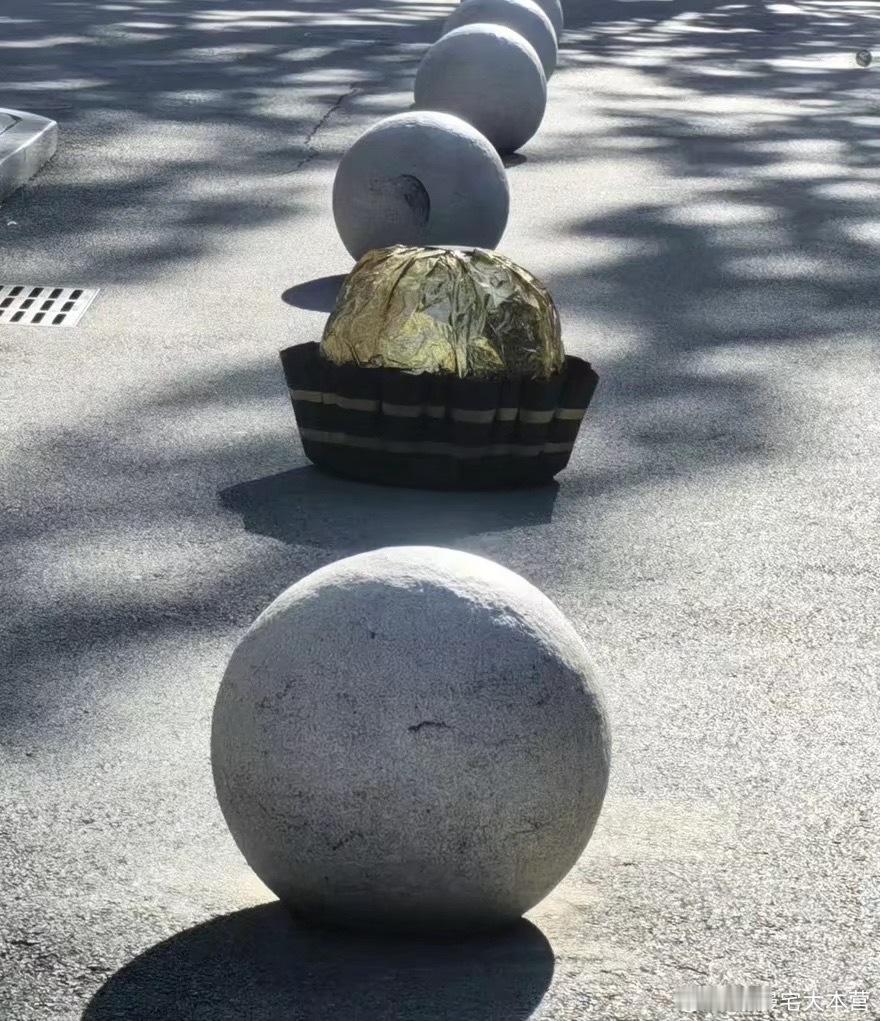 不是哥们石墩子大费列罗啊。