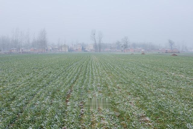 河南春节或迎降雪, 2025年春节河南有大雪吗?