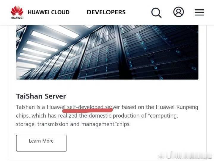 这两天几个小丑又是纠结self-developed是不是中式英语又是纠结cust