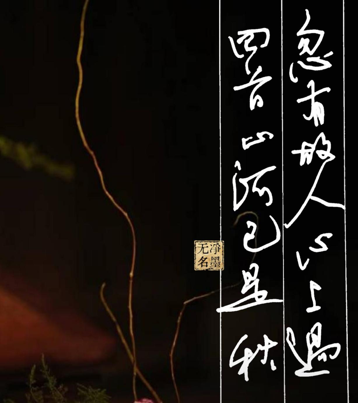 📖文字释读竖排草书，从右往左认读：忽有故人心上过，回首山河已是秋落款印