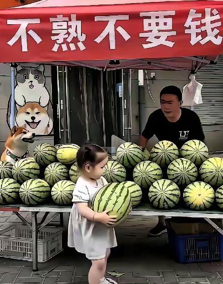 五岁小姑娘冲到西瓜摊前，仰头一句：“叔叔你认识我吗？”老刘笑着回“不认识”。下一