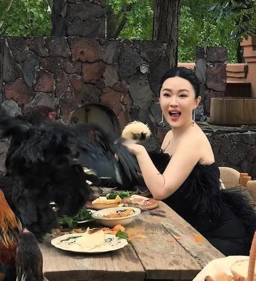 霍思燕这么有钱，居然也舍不得去菜市场买肉吗？都自己养起了鸡。
