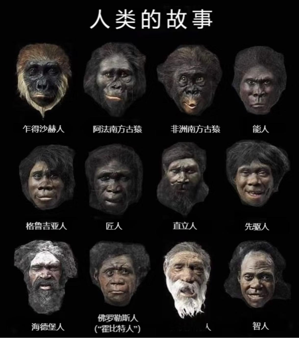 350万年前地球，同时存在两种人科物种。2025年11月30日，亚利桑那州立大学