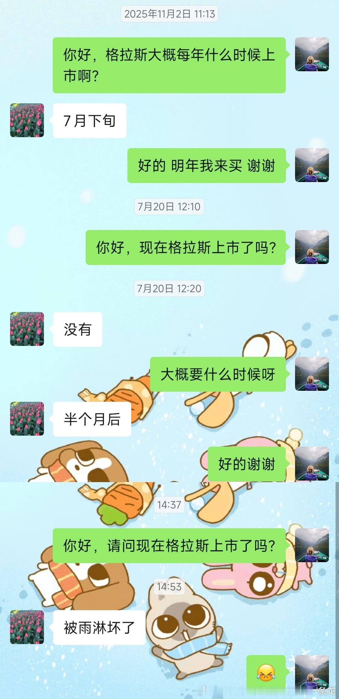 心碎2026